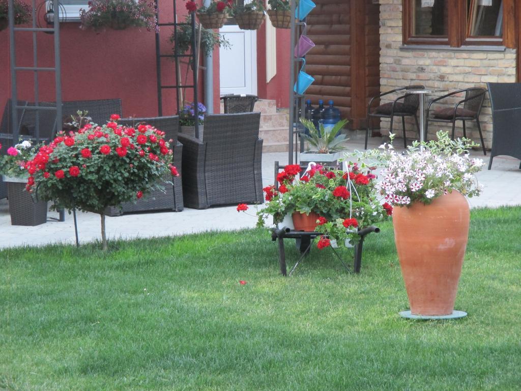 Vila Boska Палич Экстерьер фото