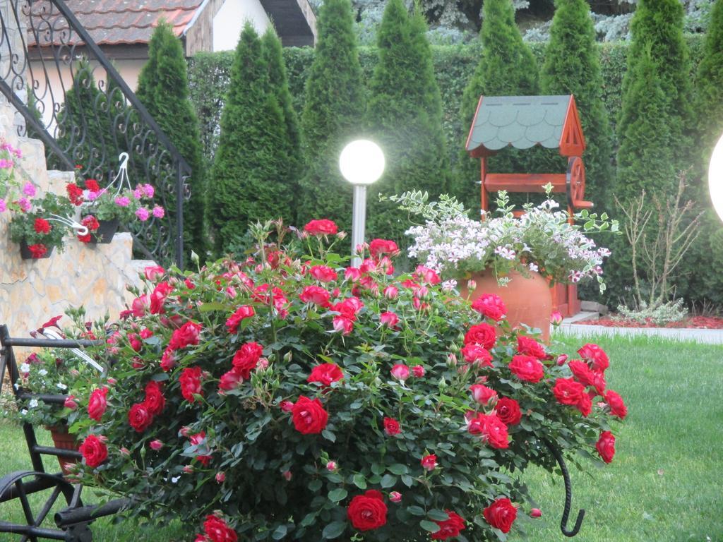 Vila Boska Палич Экстерьер фото