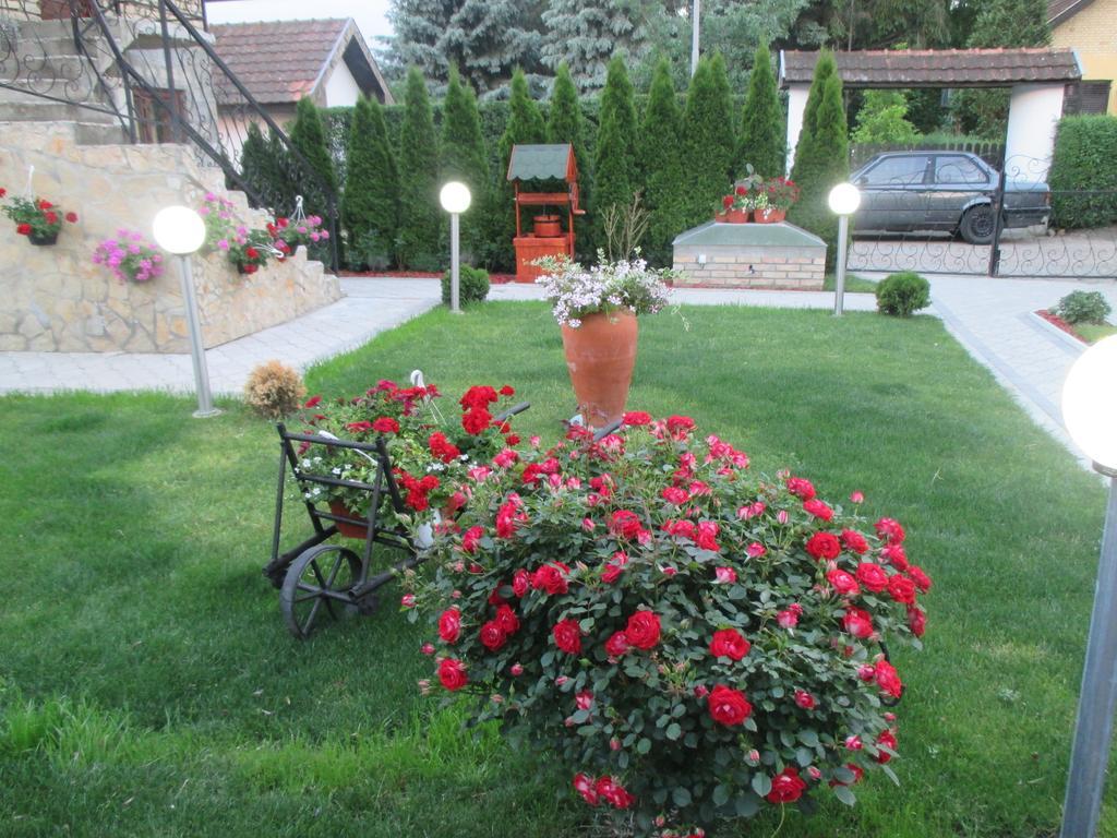 Vila Boska Палич Экстерьер фото